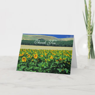 Tarjeta De Agradecimiento Gracias… los girasoles
