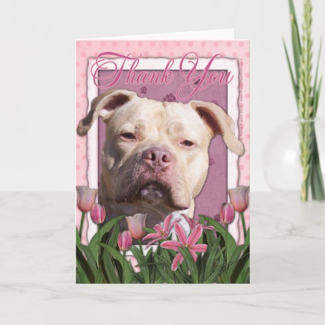 Tarjeta De Agradecimiento Gracias - los tulipanes rosados - Pitbull - chica (Anverso)
