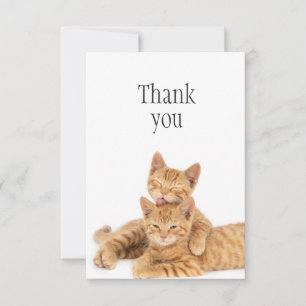 Tarjeta De Agradecimiento Gracias Naranja Cute Tabby Cat Kittens