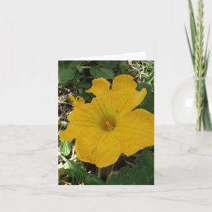 Tarjeta De Agradecimiento Gracias notecard