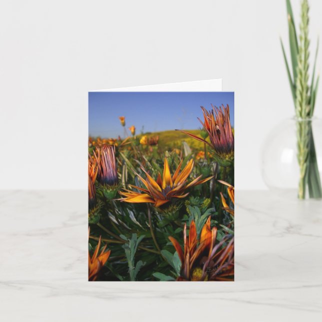 Tarjeta De Agradecimiento Gracias observar: Campo de flores (Anverso)