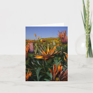 Tarjeta De Agradecimiento Gracias observar: Campo de flores