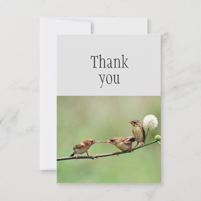 Tarjeta De Agradecimiento Gracias Pájaro Lindo Padre Aves Bebés (Anverso)