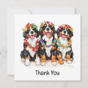 Tarjeta De Agradecimiento Gracias Perros de Montaña Berneses Hawaianos