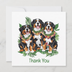 Tarjeta De Agradecimiento Gracias Perros de Montaña Berneses Hawaianos