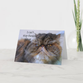 Tarjeta De Agradecimiento Gracias, Persian Calico Kitty Princess Card