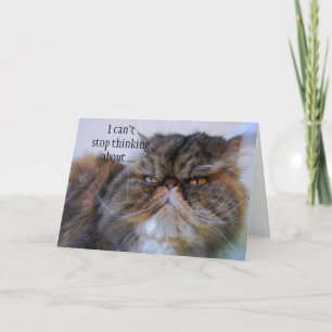 Tarjeta De Agradecimiento Gracias, Persian Calico Kitty Princess Card