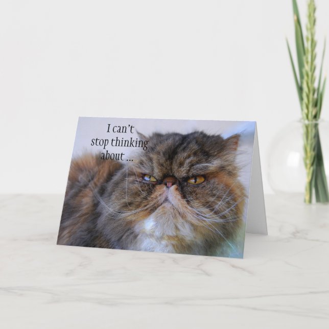 Tarjeta De Agradecimiento Gracias, Persian Calico Kitty Princess Card (Anverso)