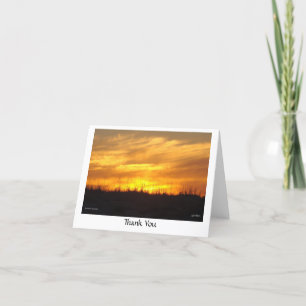 Tarjeta De Agradecimiento Gracias - playa de basura