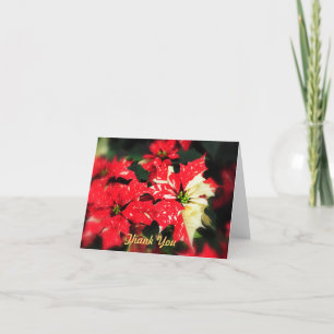 Tarjeta De Agradecimiento Gracias Poinsettas