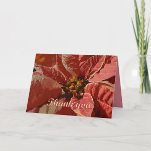 Tarjeta De Agradecimiento Gracias Poinsettias rosa y crema
