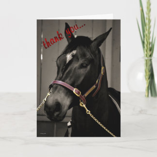 Tarjeta De Agradecimiento Gracias por cuidar caballo de apreciación gracias