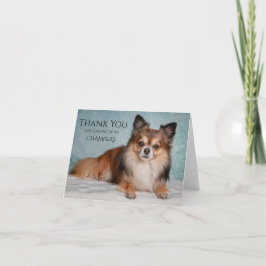 Tarjeta De Agradecimiento Gracias Por Cuidar De Nuestro Mascota