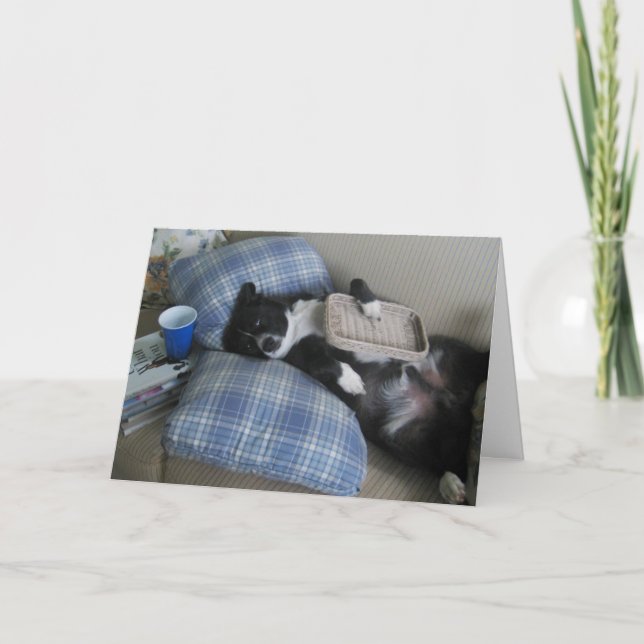 Tarjeta De Agradecimiento Gracias por el fiesta con el perro lindo (Anverso)