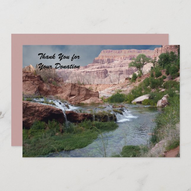 Tarjeta De Agradecimiento Gracias por la donación, cascadas virales (Anverso / Reverso)