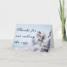 Gracias por no llamar a los policías