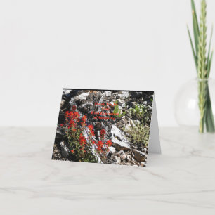 Tarjeta De Agradecimiento Gracias por simpatía, flores rojas y rocas