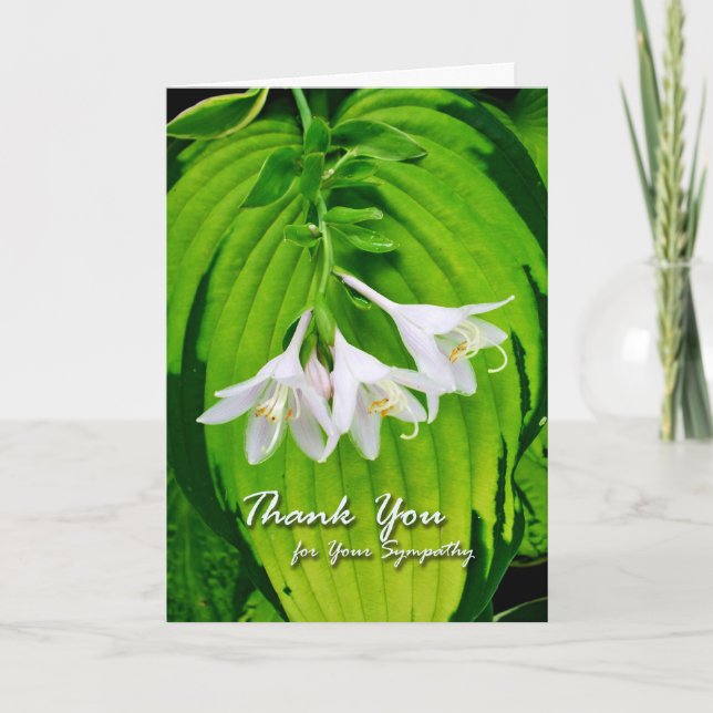 Tarjeta De Agradecimiento Gracias por simpatía, Hosta Blooms (Anverso)