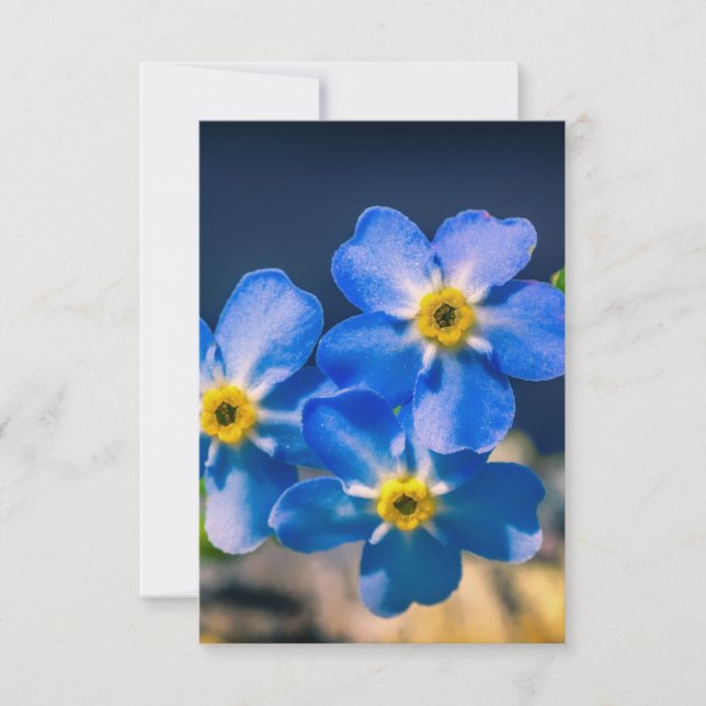 Tarjeta De Agradecimiento Gracias por su amabilidad. (Anverso)