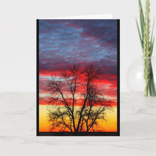 Tarjeta De Agradecimiento Gracias Por Su Servicio A Nuestro País (Anverso)