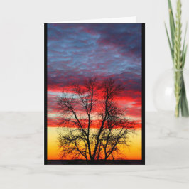 Tarjeta De Agradecimiento Gracias Por Su Servicio A Nuestro País