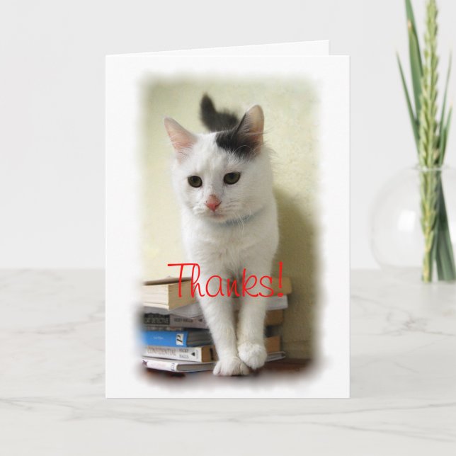 Tarjeta De Agradecimiento Gracias, profesor, gatito en la carta de libros (Anverso)
