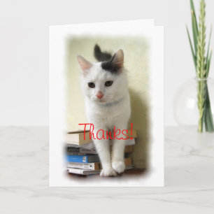 Tarjeta De Agradecimiento Gracias, profesor, gatito en la carta de libros