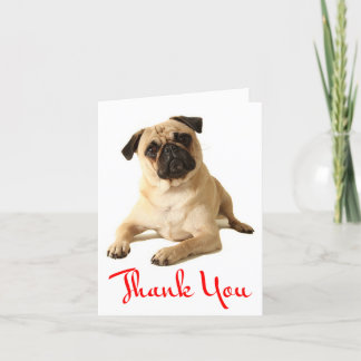 Tarjeta De Agradecimiento Gracias Pug Puppy Dog Blank Note Card