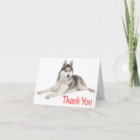 Gracias Rojo al Perro Cachorro Husky Siberiano - E