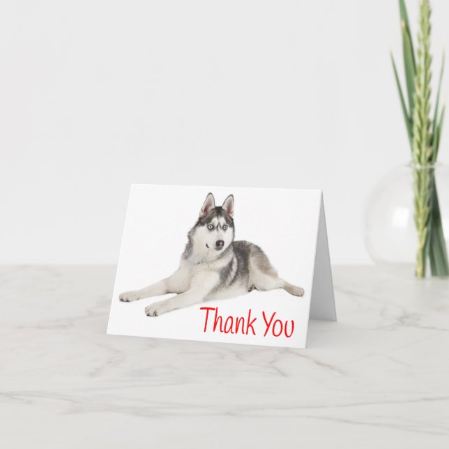 Tarjeta De Agradecimiento Gracias Rojo al Perro Cachorro Husky Siberiano - E (Anverso)