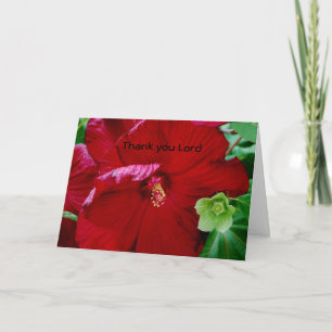 Tarjeta De Agradecimiento Gracias Señor