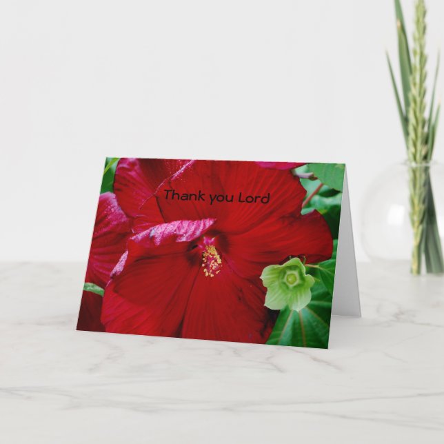 Tarjeta De Agradecimiento Gracias Señor (Anverso)