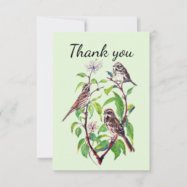 Tarjeta De Agradecimiento Gracias Sparrow Garden Bird Nature Art (Anverso)