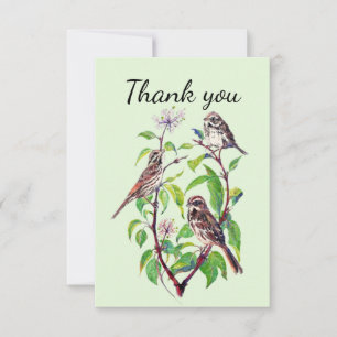 Tarjeta De Agradecimiento Gracias Sparrow Garden Bird Nature Art
