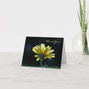 Tarjeta De Agradecimiento Gracias, Sunlit Yellow Daisy, Hermosas Flores