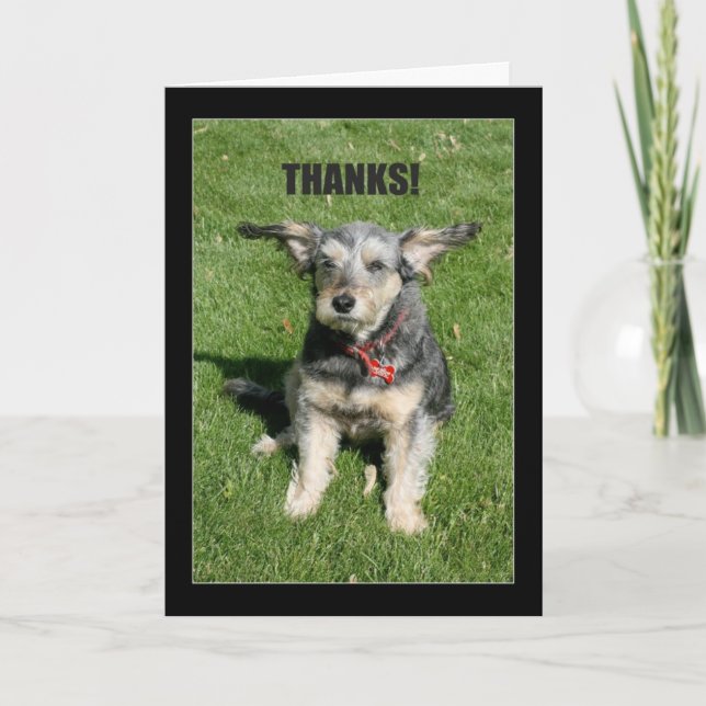 Tarjeta De Agradecimiento ¡Gracias! ¡Tu Amabilidad Casi Me Quita! (Anverso)