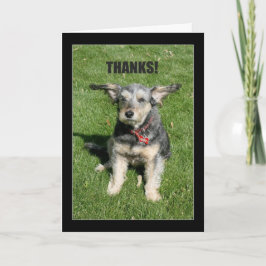 Tarjeta De Agradecimiento ¡Gracias! ¡Tu Amabilidad Casi Me Quita!