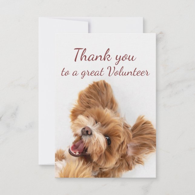 Tarjeta De Agradecimiento Gracias Voluntario Fun Floofy Happy Puppy Dog (Anverso)