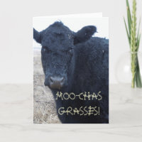 Gracioso Gracias A Cuidada Vaca Bovina Negra