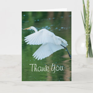 Tarjeta De Agradecimiento Gran Egret Blanco