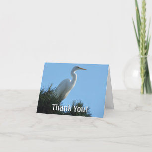 Tarjeta De Agradecimiento Gran Egret en la soleada Florida