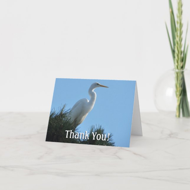 Tarjeta De Agradecimiento Gran Egret en la soleada Florida (Anverso)