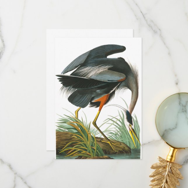 Tarjeta De Agradecimiento Gran garza azul de John James Audubon (Anverso/Reverso In Situ)