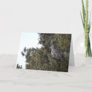 Tarjeta De Agradecimiento Gran Lechuza Gris En Un Notecard En Blanco De Un Á