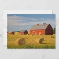 Granjas | Barrios rojos cerca de Hay Bales