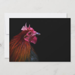 Tarjeta De Agradecimiento Granjas Disparo de cabeza de gallo