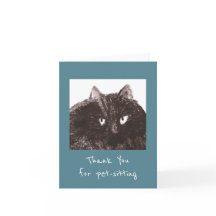 Grasa Cat Mascota-Sitters Gracias