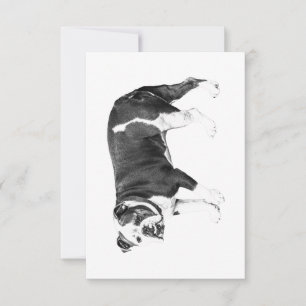 Tarjeta De Agradecimiento Gratitud de Bulldog, Gracia Suave