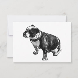 Tarjeta De Agradecimiento Gratitude Without Noise