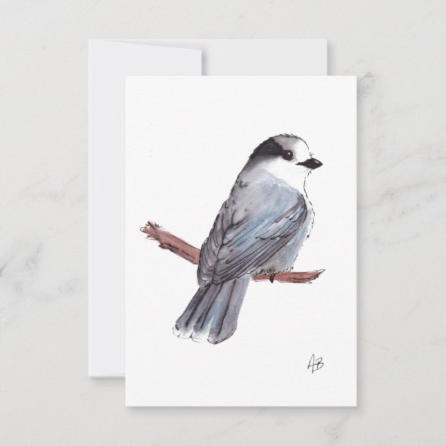 Tarjeta De Agradecimiento Gray Jay (Anverso)